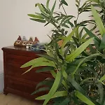 Il Mezzanino Cervia