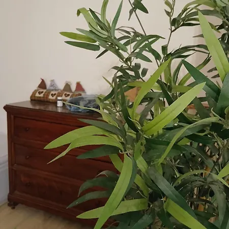 Il Mezzanino Cervia