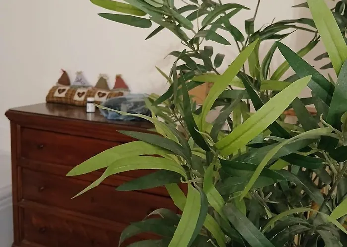 Il Mezzanino 체르비아